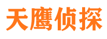 龙城市侦探公司